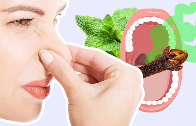Régime quand on a mauvaise haleine : les aliments que l'on peut manger et ceux à éviter