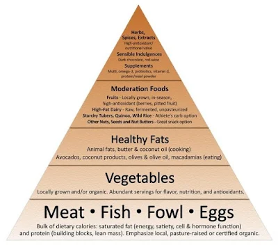 Carb Strategy – How To Manage Your Carbs