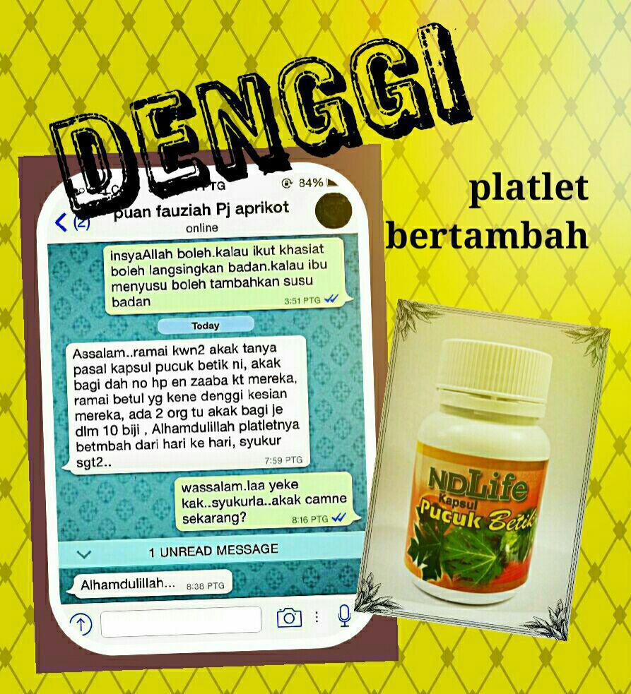 Herba & Kesihatan: Kapsul Pucuk/Daun Betik (Penawar Denggi)