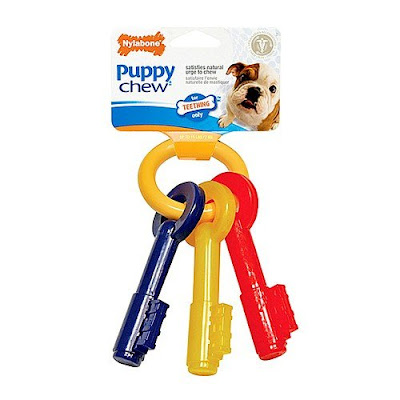 Best Teething Toy for Puppies