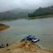 View album
