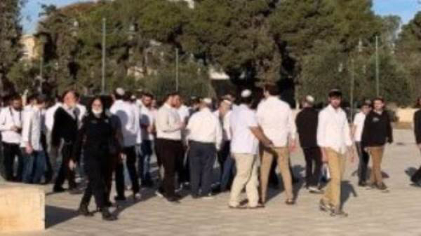 مستوطنون إسرائيليون يقتحمون ساحات الأقصى فى حراسة شرطة الاحتلال