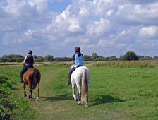 Walthamstow Marshes