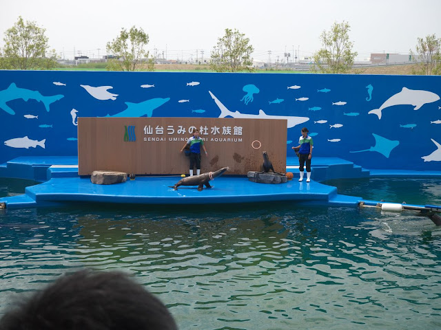 仙台うみの杜水族館 アシカショー 輪投げ