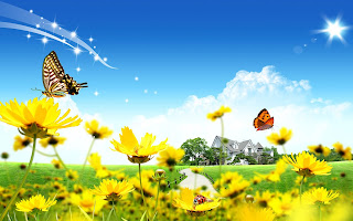 Wallpapers de Mariposas