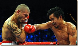 fight19