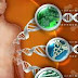 Apa Sih Tes DNA Itu?