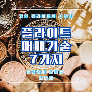 코인 플라이트 매매기술
