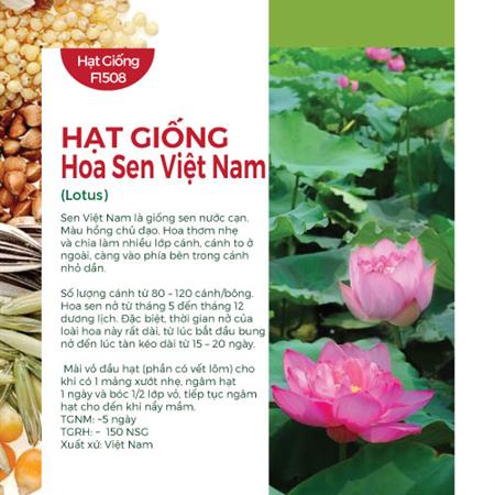 Hạt giống hoa Sen Việt Nam 203AQ - Sen nước cạn