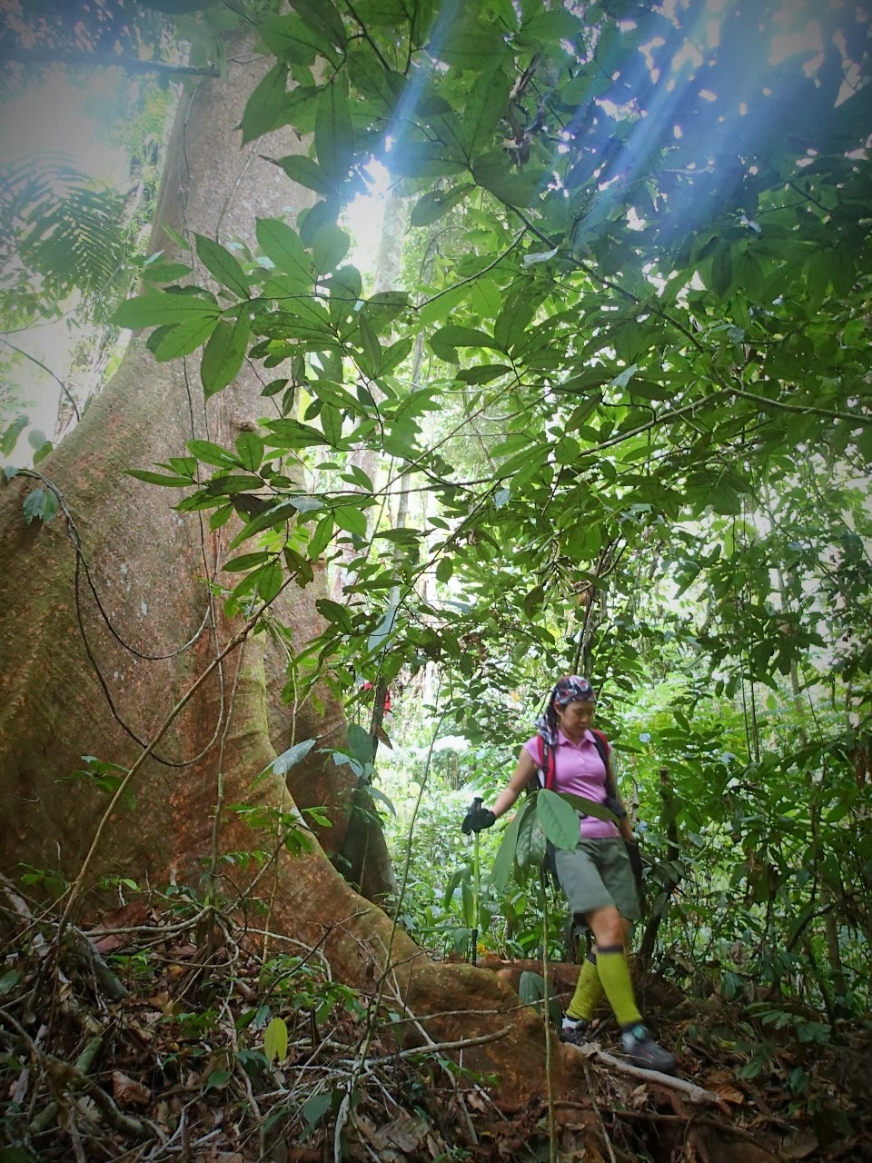 gunung berembun negeri sembilan