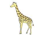 giraffe