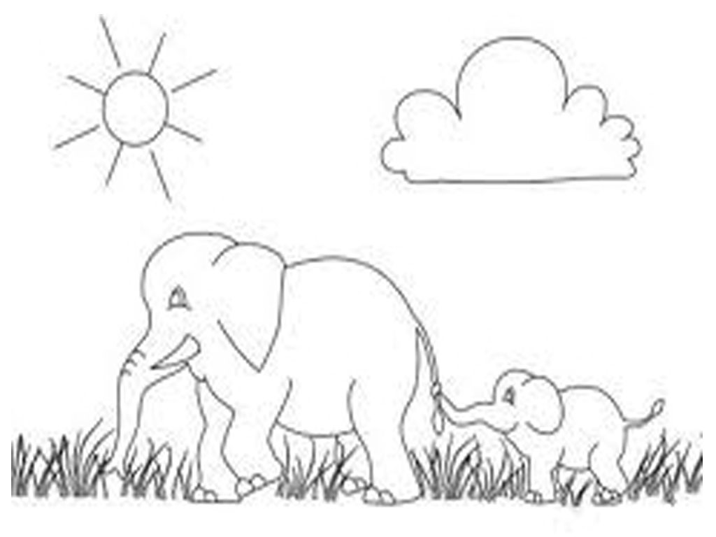 Free coloring pages of african bush elephant