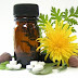 Dia Nacional da Homeopatia é comemorado anualmente em 21 de novembro