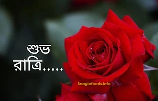 ফুলের উপর শুভ রাত্রি লেখা শুভেচ্ছা ছবি