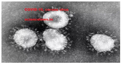 Big report from american scientist corona virus medicine is coming soon