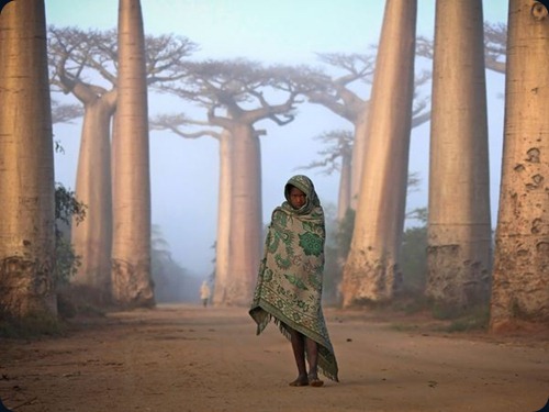 girl-baobabs-madagascar