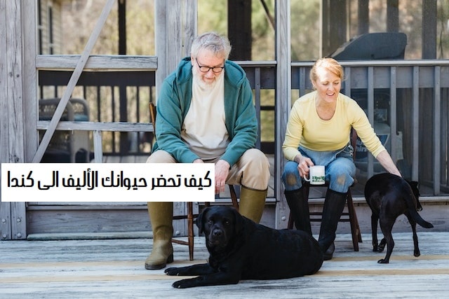 الهجرة الى كندا مع حيوانك الأليف