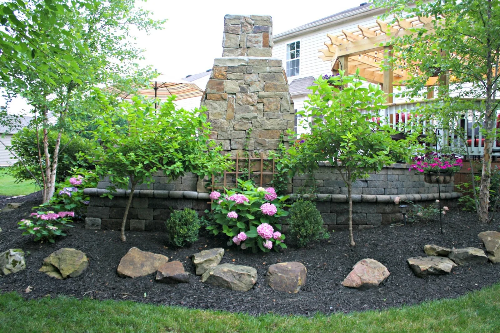 hydrangeas in landscaping