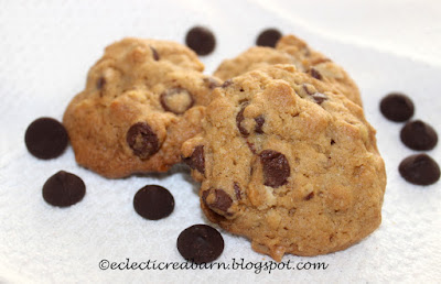 Eclectic Red Barn: Oatmeal Chocolate Chip Cookies with Pecans