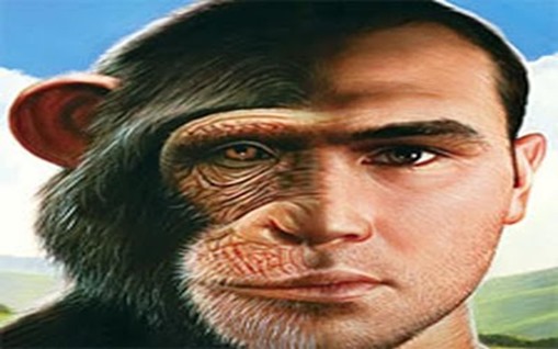 homem-macaco 2