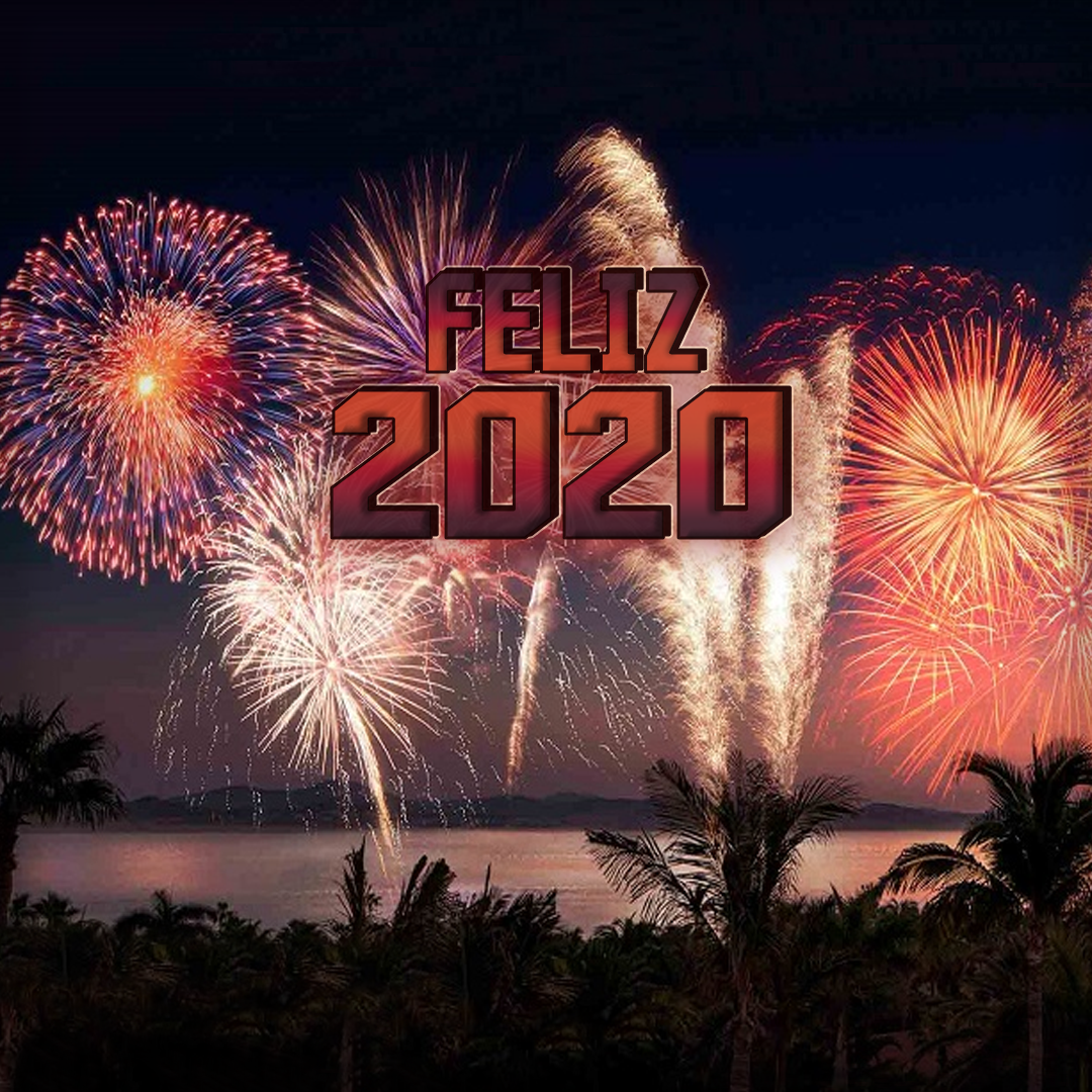 Año 2020