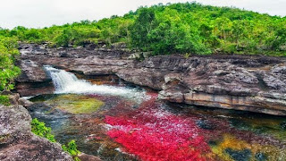 http://www.bbc.com/travel/slideshow/20140903-colombias-liquid-rainbow