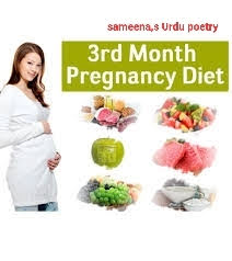 PREGNANCY DIET PLAN INDIA 2023
