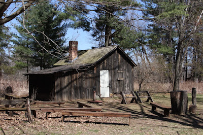 Leopold shack and pines