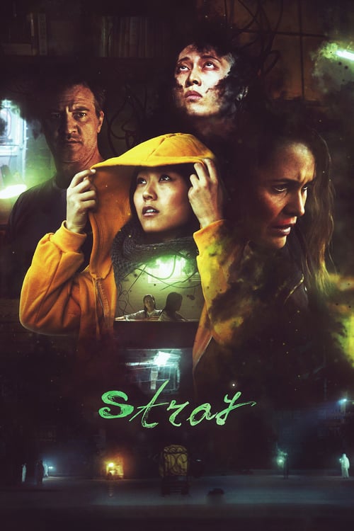 [HD] Stray 2019 Filme Completo Download