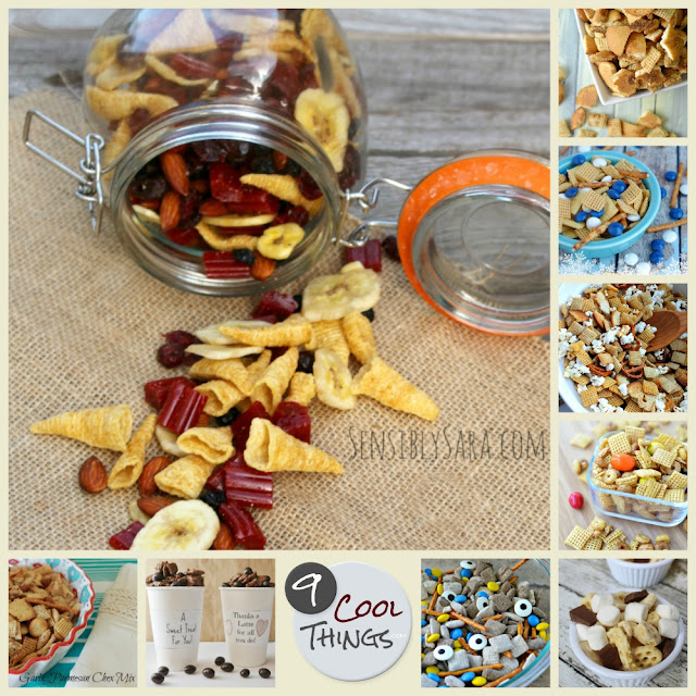 9 Cool Snack Mix Recipes | www.9CoolThings.com