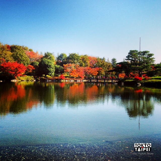 【昭和記念公園】秋天來賞滿園的黃銀杏葉與紅楓葉