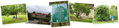 View Woolsthorpe Manor