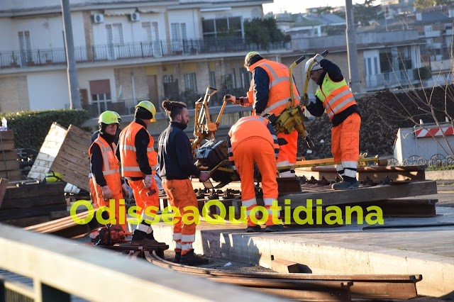 Potature e lavori: le modifiche alla rete tramviaria romana