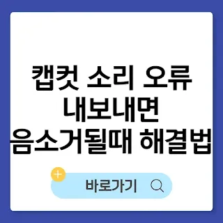 캡컷 소리 오류? 내보내면 음소거될 때 해결법 썸네일