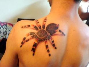 Design Spider 3D Tattoo On The Upper Back