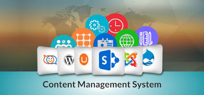 Offshore Content Management Solutions India