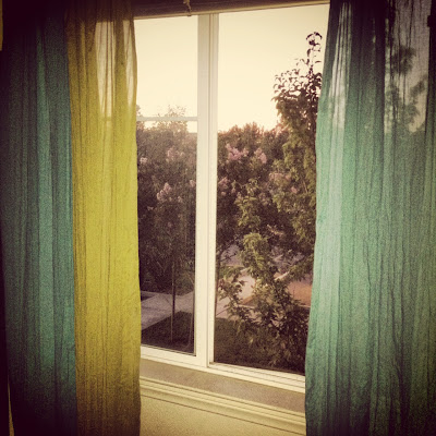 bedroom view, california evening, trees, pretty curtains, blogging, sunkissed dream