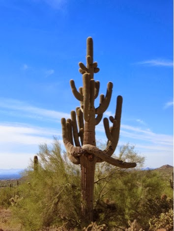 HikeUseryParkTrails-2-2013-10-26-21-57.jpg