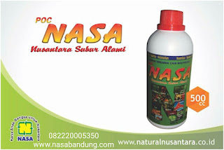 AGEN PENJUAL POC NASA