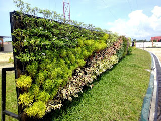 TAMAN VERTICAL GARDEN