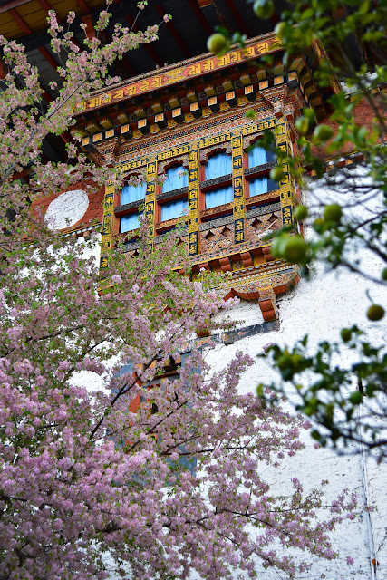 Punakha Dzong