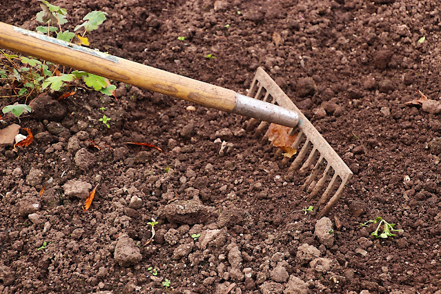 A rake is often used to prepare soil before planting