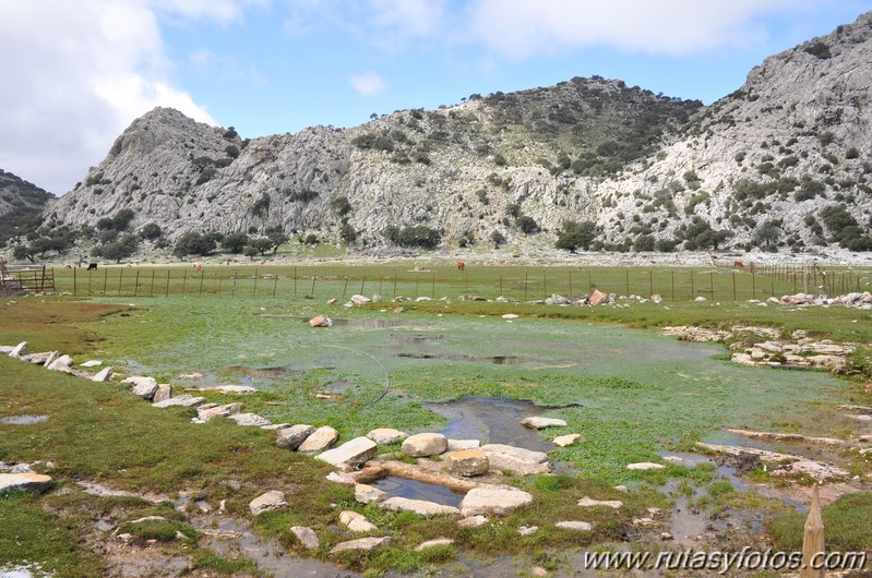 Llanos de Líbar