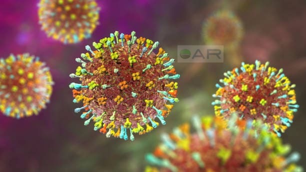 Vírus que representa uma ameaça global à biossegurança é neutralizado por coquetel de anticorpos