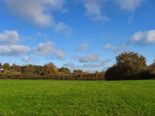 Organic Research Centre Elm Farm