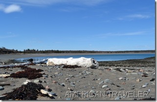 DSC_0024-mi