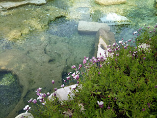 Travelog Turkey Pamukkale National Park Ancient Pool