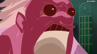 ワンピースアニメ 魚人島編 571話 | ONE PIECE Episode 571