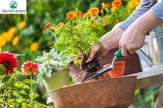 As Melhores Ferramentas Para Jardinagem e Seus Nomes