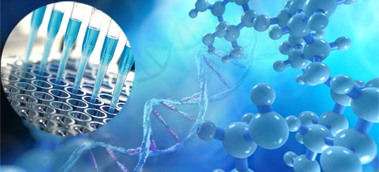 Principais compostos estudados pela Bioquímica